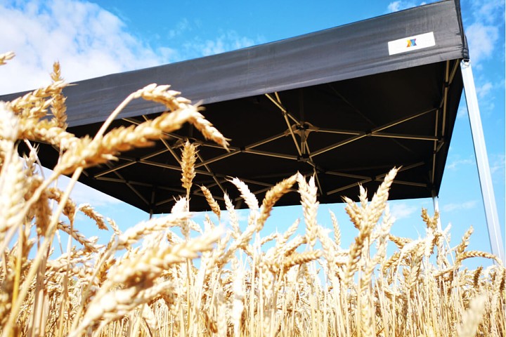 Klaipėdos sulankstoma pavėsinė