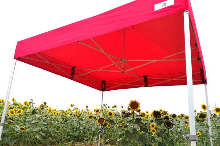 4x8m sodo palapinės