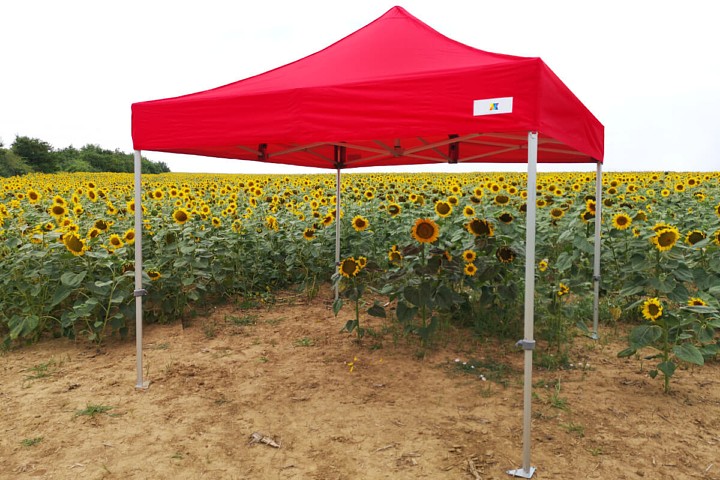 4x8m sulankstomos palapinės